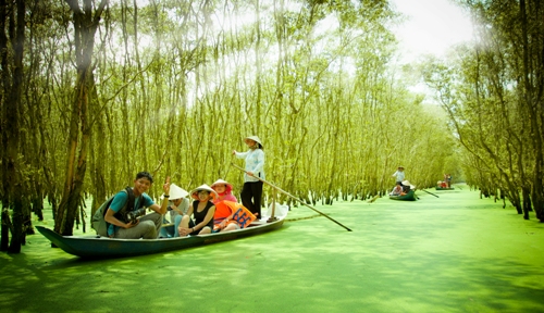 Rừng tràm Trà Sư hoang sơ mà lung linh trong mùa nước nổi (Nguồn : Internet)